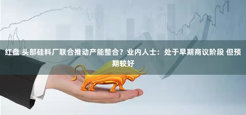红盘 头部硅料厂联合推动产能整合？业内人士：处于早期商议阶段 但预期较好