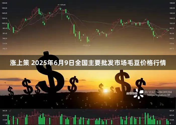 涨上策 2025年6月9日全国主要批发市场毛豆价格行情